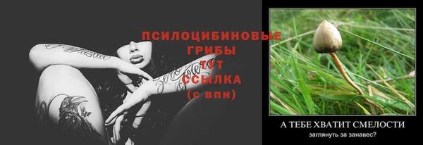 стафф Аркадак