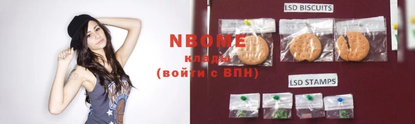стафф Аркадак