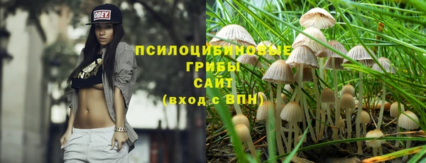 а пвп мука Армянск