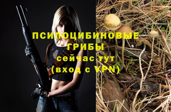 а пвп мука Армянск