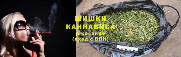 трава Арсеньев