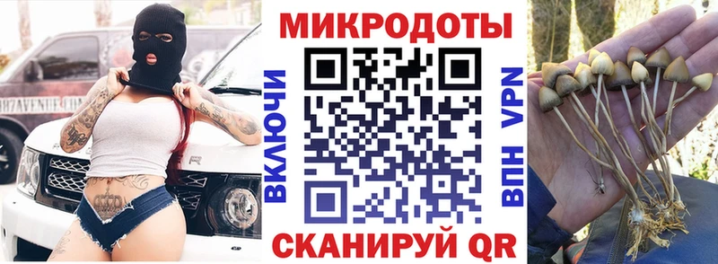 Купить где  Барабинск  Псилоцибиновые грибы Cubensis 